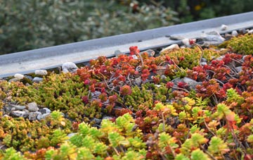 the cost of Handy Cross green roof installation