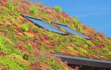 Handy Cross living roof systems